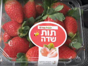 מדבקות צורניות לתות שדה