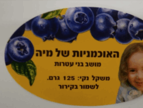 מדבקות אליפסה בצבע מלא אוכמניות