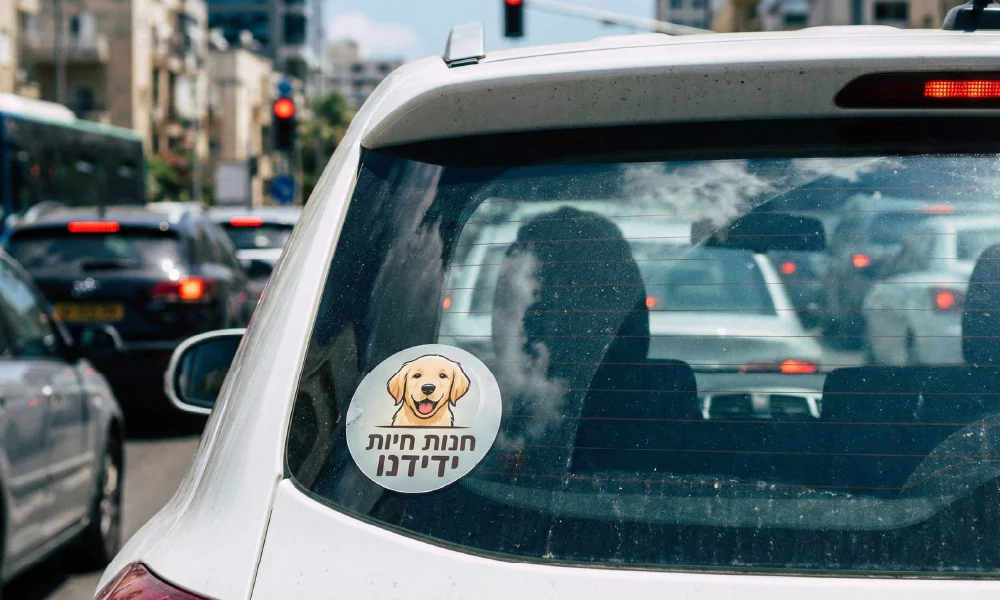 מדבקת חלון לרכב עם לוגו של חנות חיות הכוללת איור של כלב גולדן רטריבר והכיתוב "חנות חיות ידידנו".