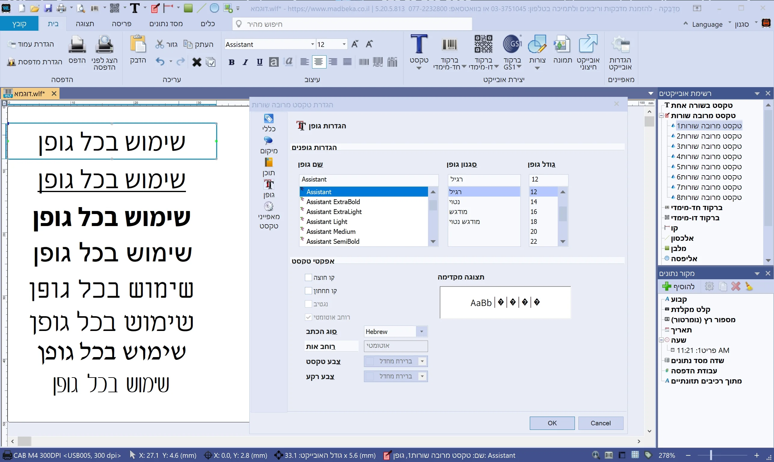 צילום מסך מתוך תוכנת עריכת מדבקות בעברית המציג בחירת גופנים, עיצוב טקסט מרובה שורות והתאמת טיפוגרפיה.